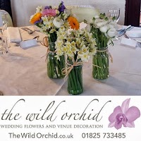 The Wild Orchid 1091912 Image 3
